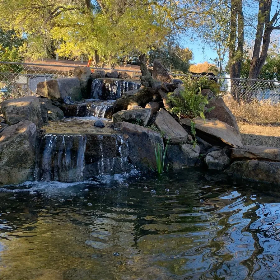 Backyard pond with waterfall and boulder edge