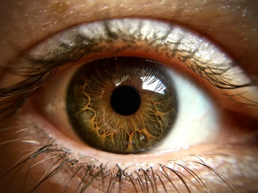 Close-up of a human eye.