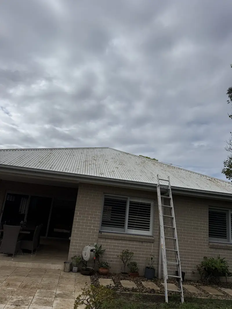 Colorbond roof and gutters with ladder set up at the gutter line