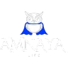 Amnayalife