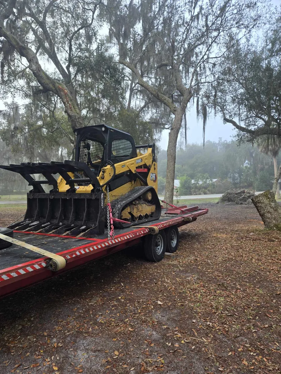 Arborman Tree Service photo: Stump Grinding