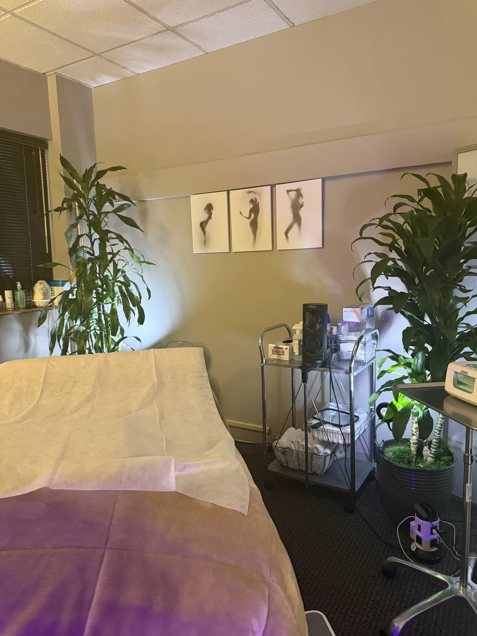 Treatment room with a padded treatment bed and plants at Natural Rejuvenation MedSpa.