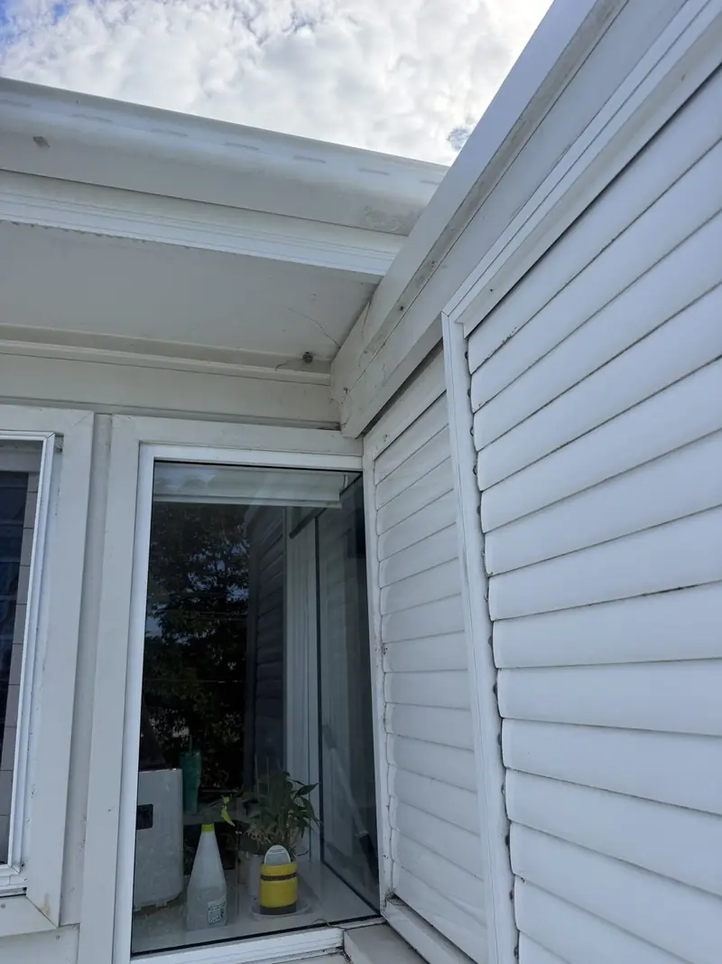 Eaves and wall with mould before washing