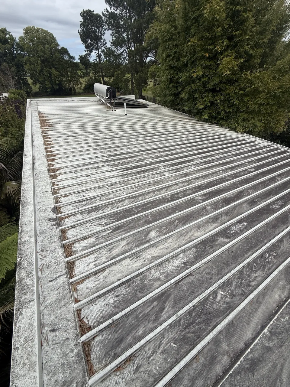 Colorbond roof with dark grime in the ribs before a soft wash