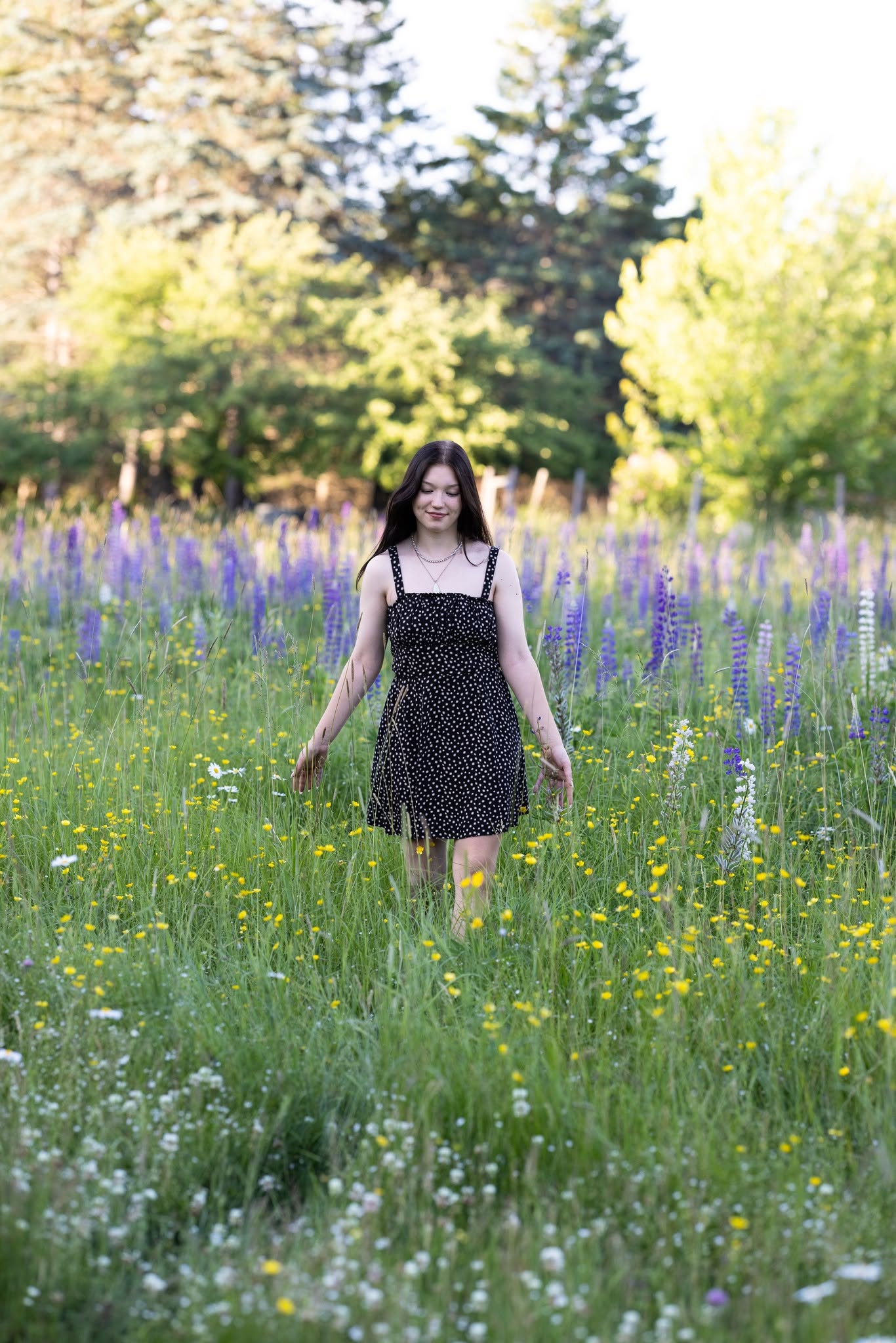 High school senior portrait in a wildflower field, Duluth, Minnesota
