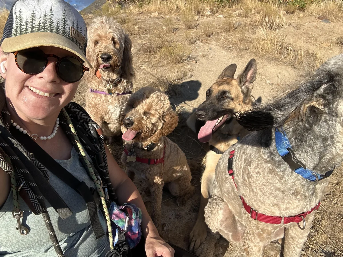 Shanti and the pack on a trail