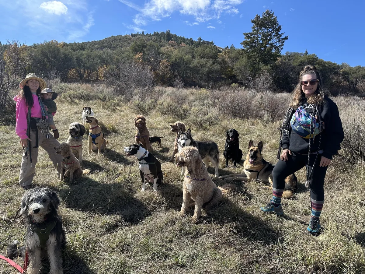 Shanti's Pack