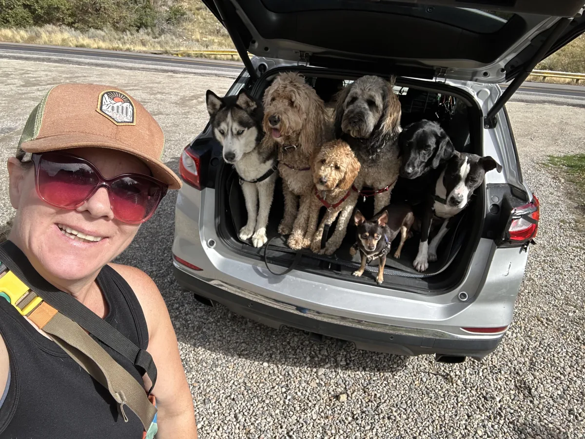 Shanti's Pack