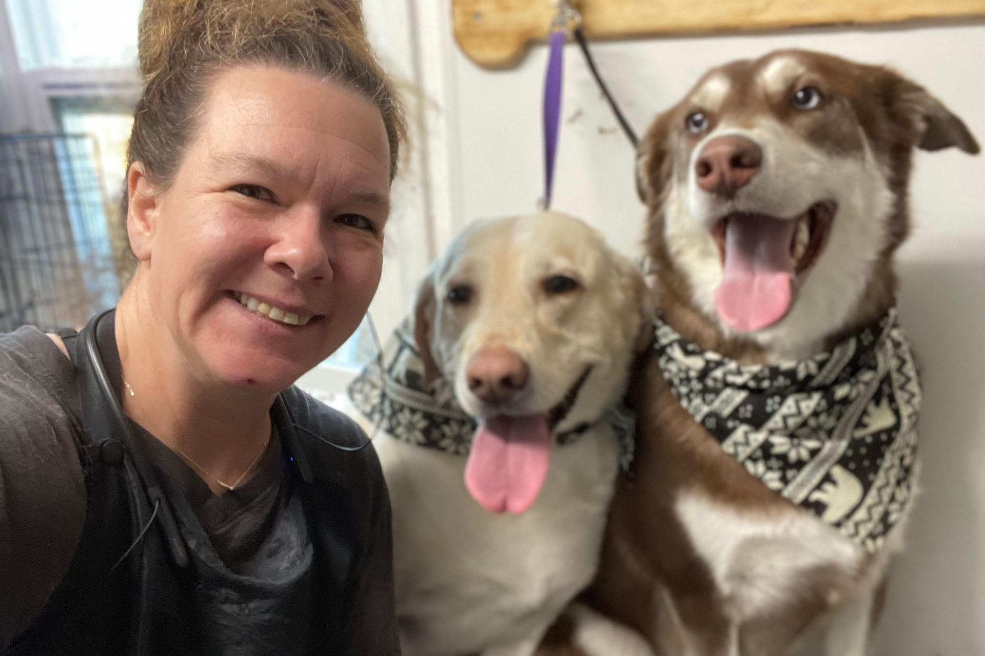 Shanti and her dogs