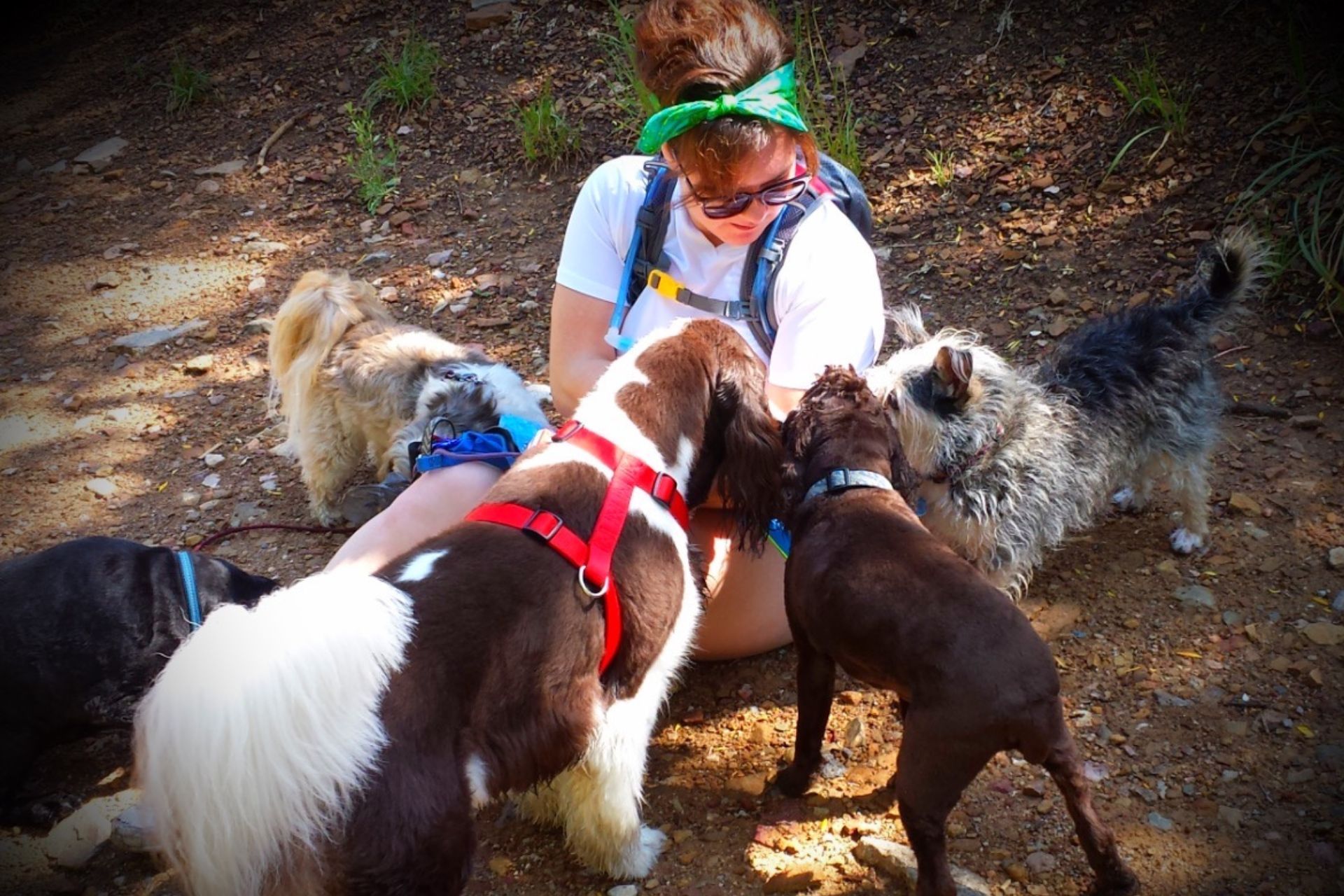 Shanti's Pack Dog Hiking Adventures