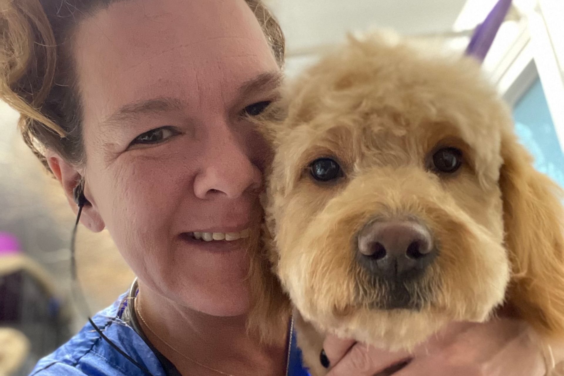 Dog Grooming