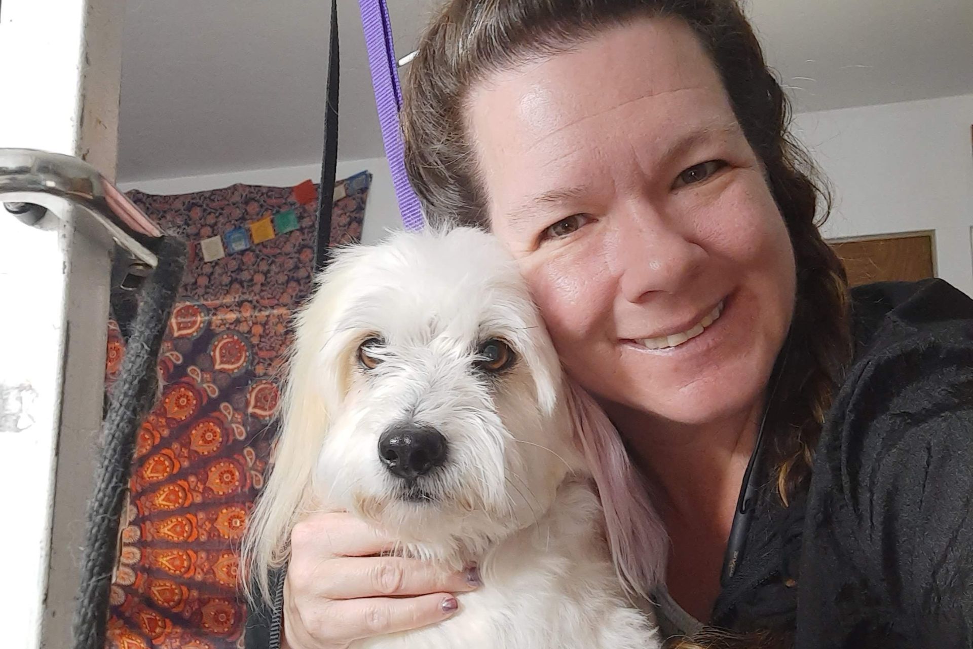 In-Home Pet Sitting