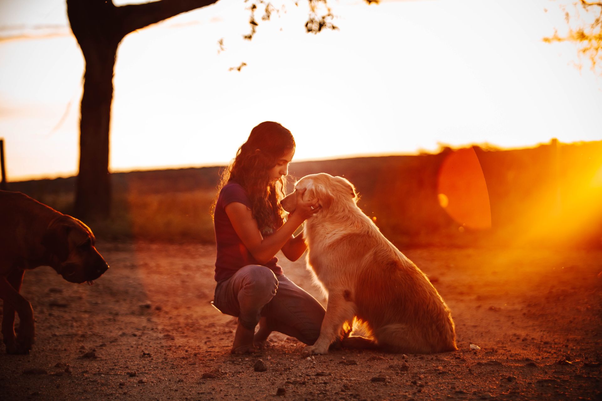 Woman and her dog resting at sunset