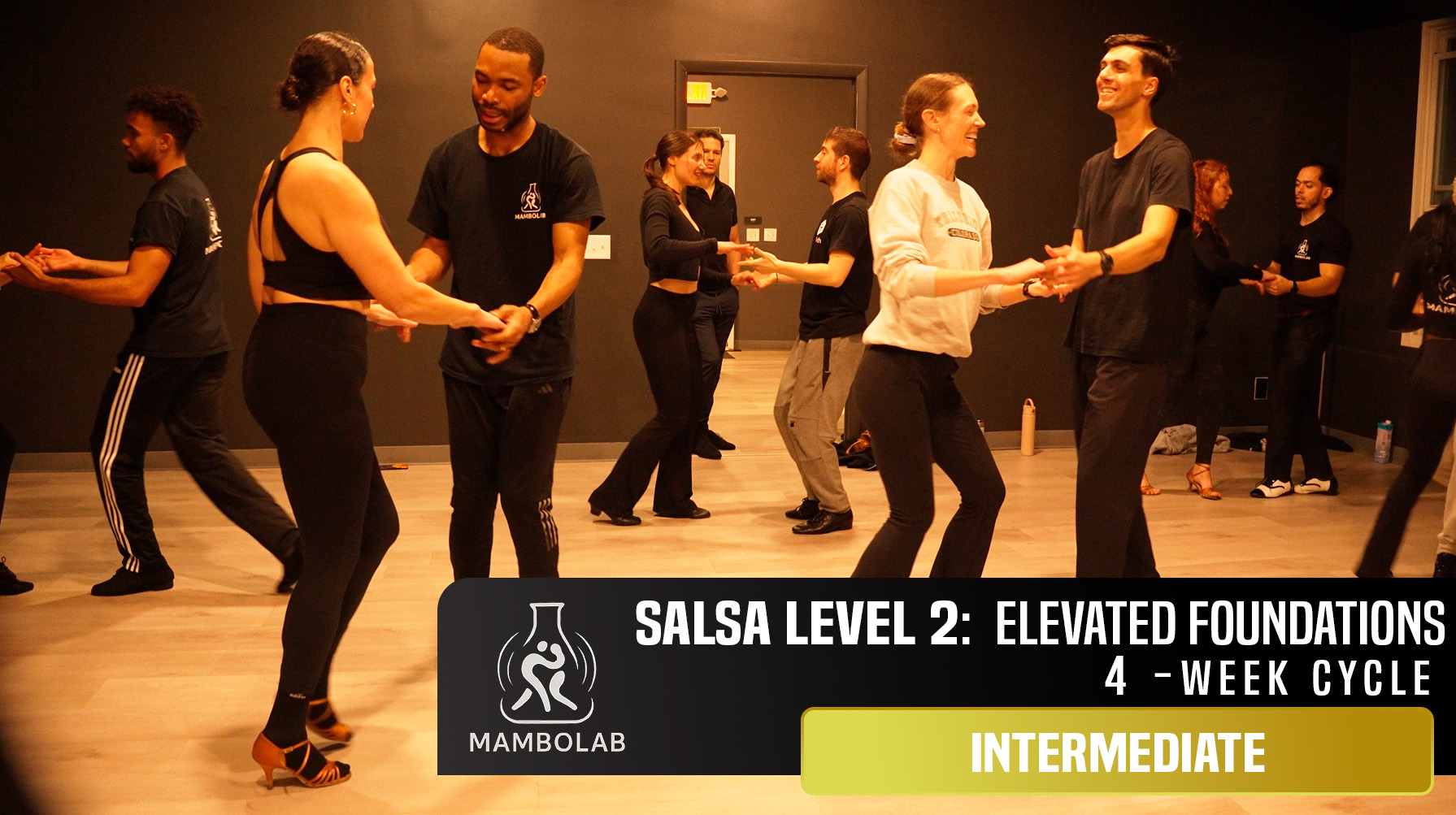 Salsa Level 2