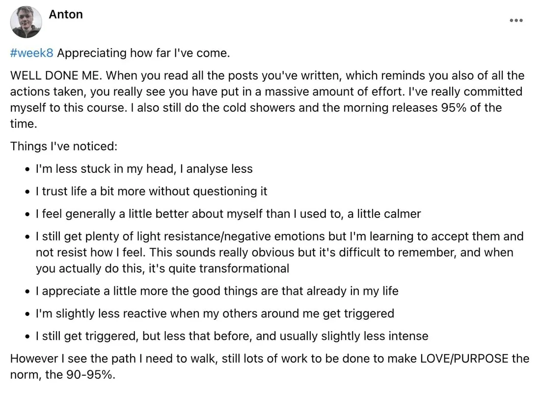 Anton's written review — Transformation Mastery Mentoring 2.0.