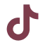 tiktok icon