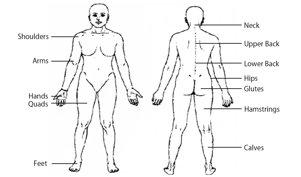 Body Parts Image