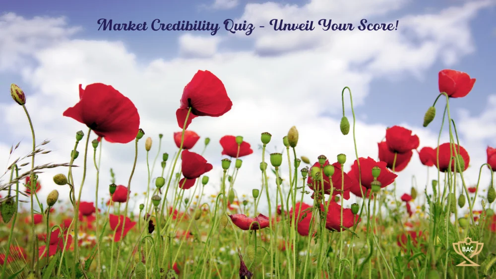 Ground view of field of red poppies. against a blue and white cloudy clear day.