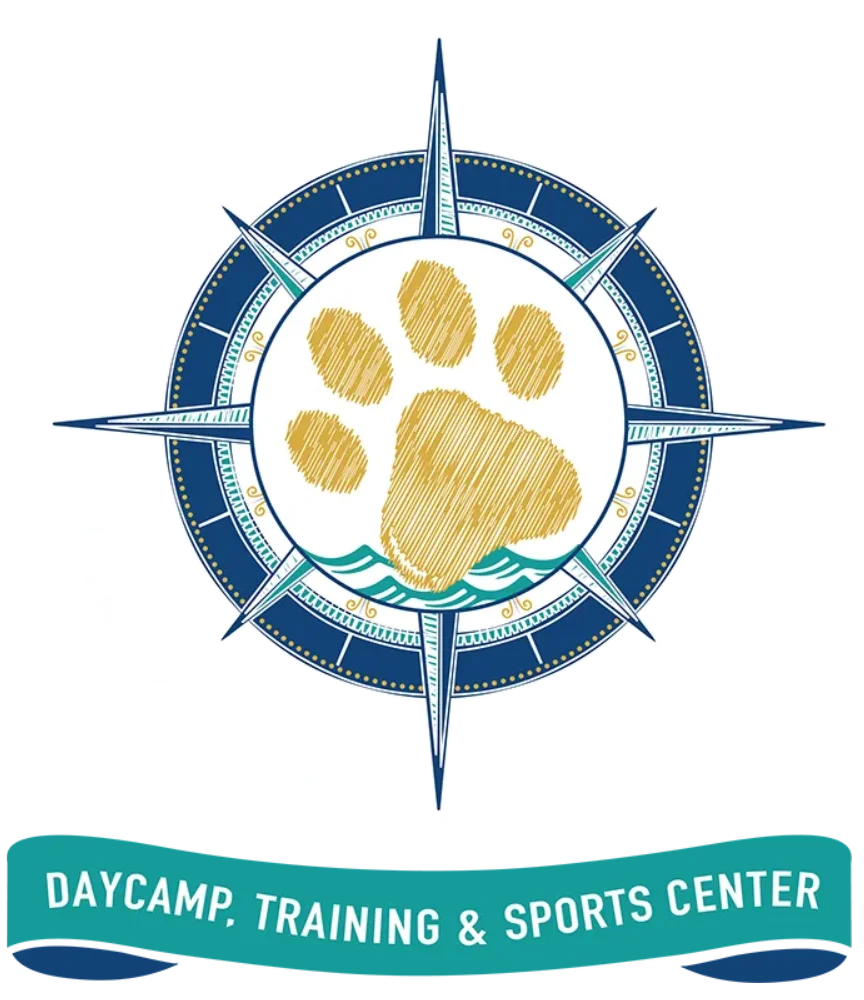 DYD Logo