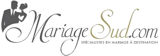 Logo Voyage Fiesta Logo Voyage Fiesta