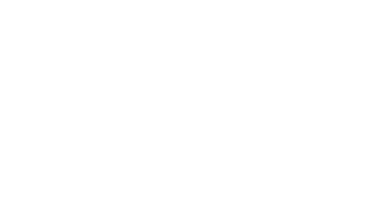 Nance Coaching Studio Logo
