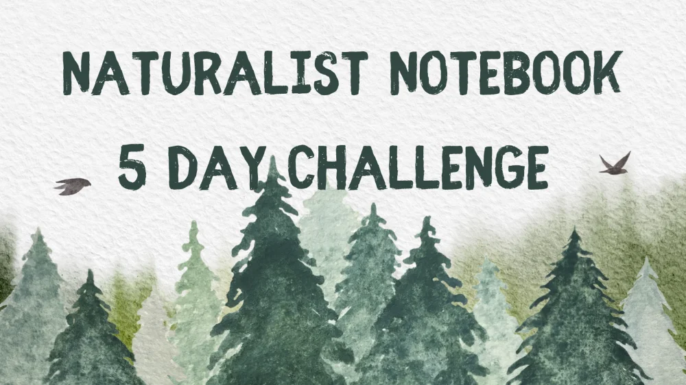 Naturalist's Notebook Challenge