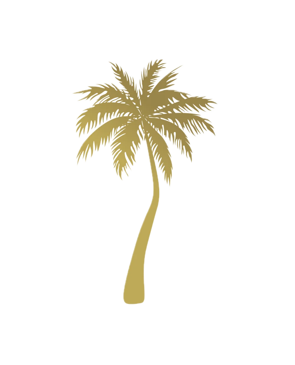 Lifestyle Mobile Car Detailing Palm Tree Logo