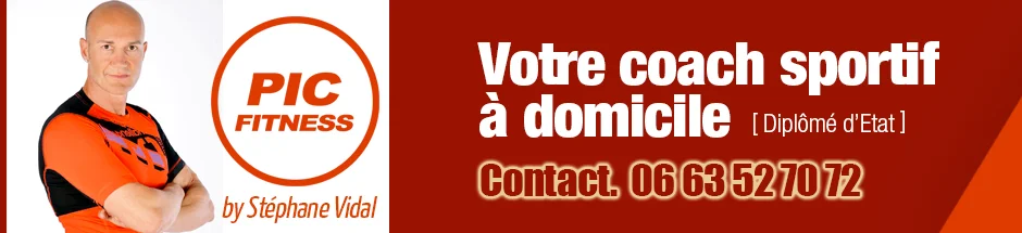 fiche de contact stephane vidal