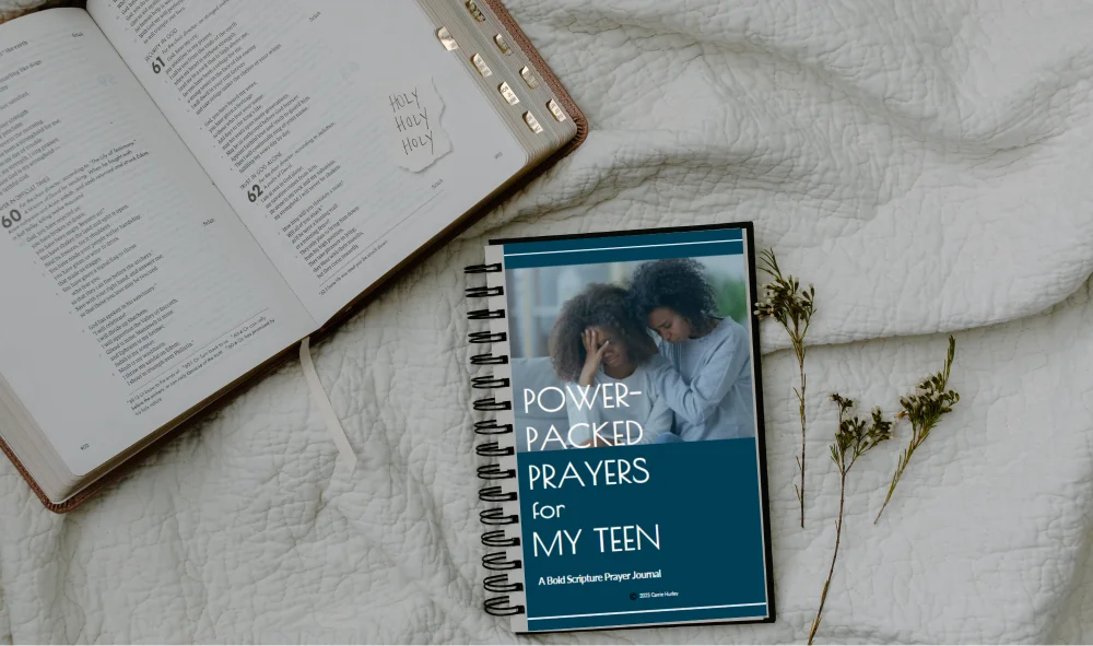Pic of Power-Packed Prayers for My Teen Journal with an open Bible and dried flowers on a white quilt 
