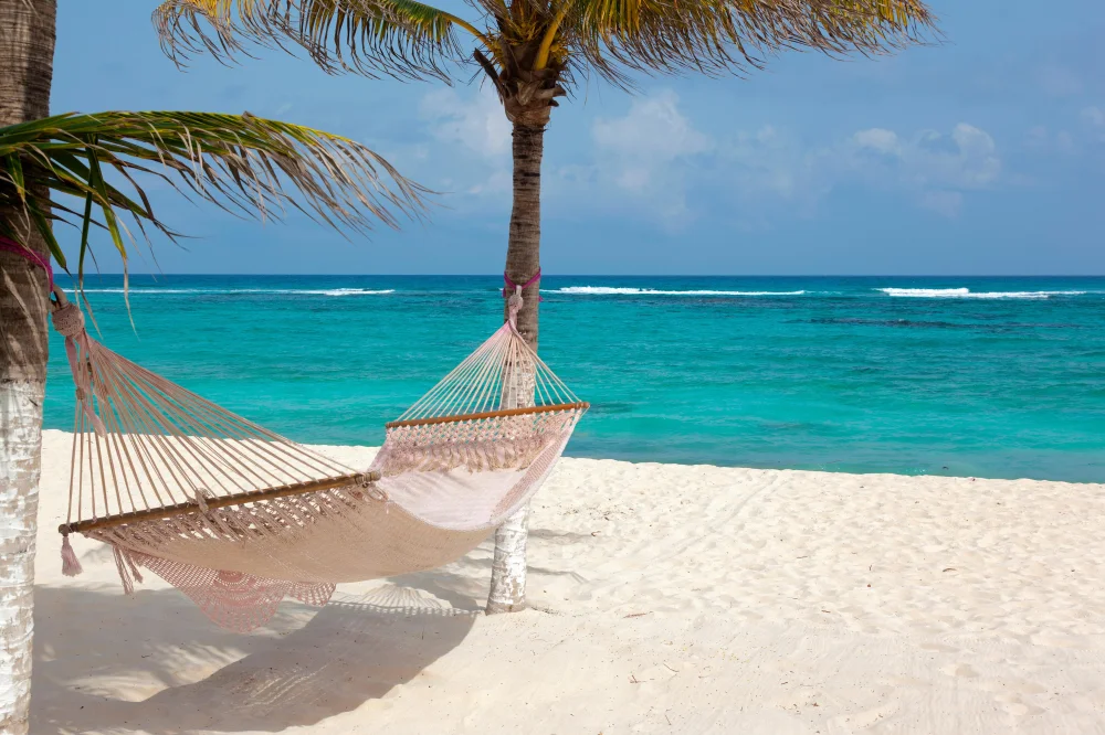 Hammock swinging from two palm trees on the beach overlooking the ocean.