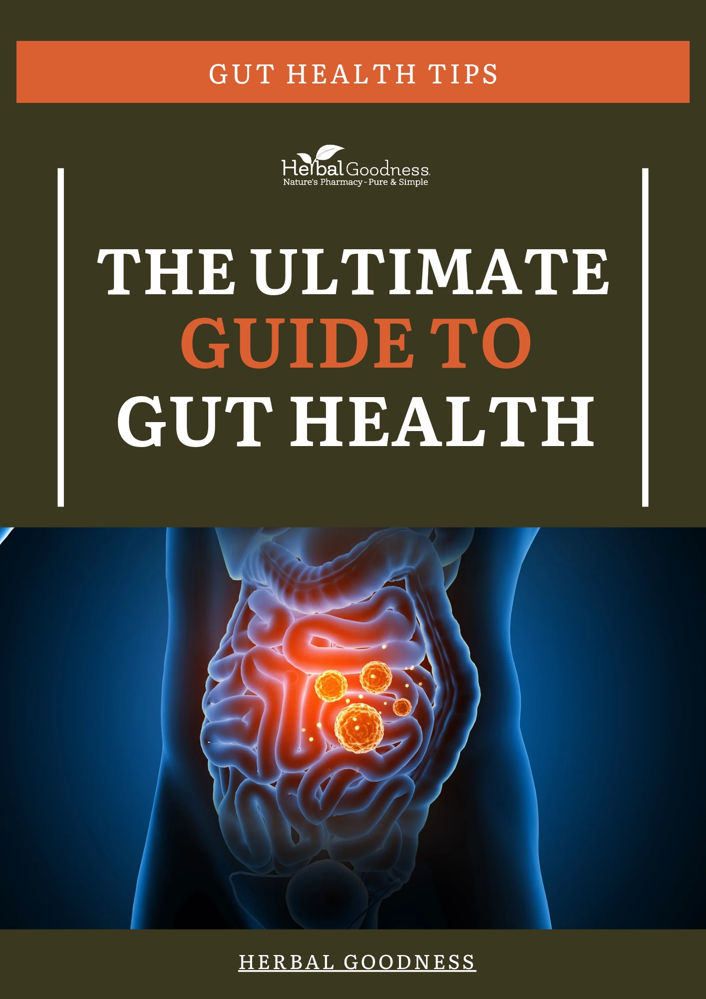The Ultimate Guide to Gut Health - eBook_20250314_205420_0000.pdf