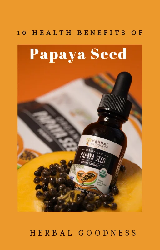 10 Health Benefits of Papaya seed _ Herbal Goodness