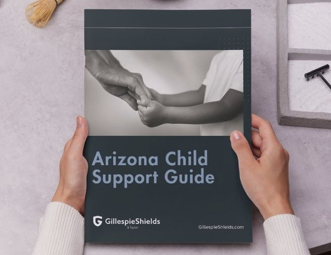 Child Support Guide