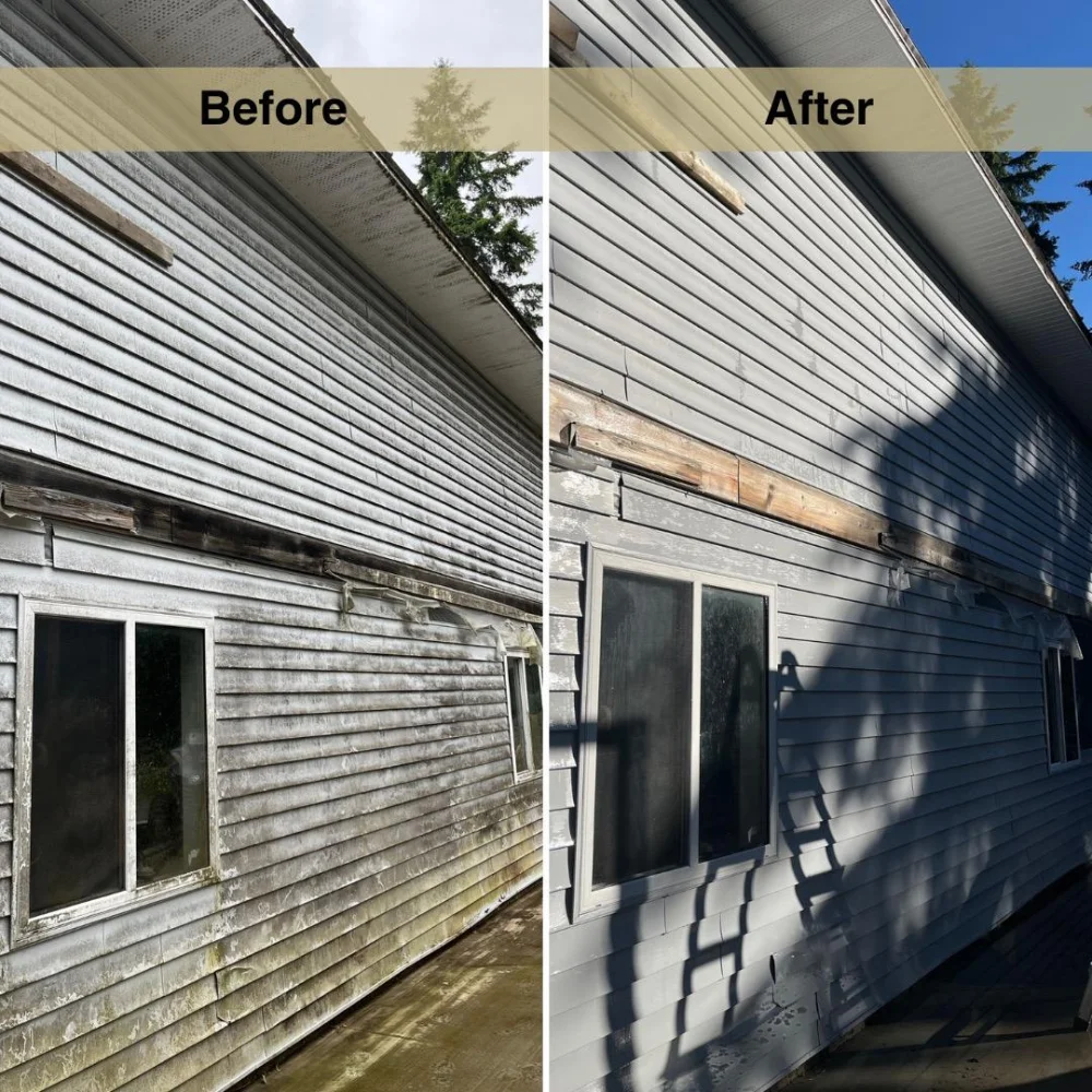 Project Request