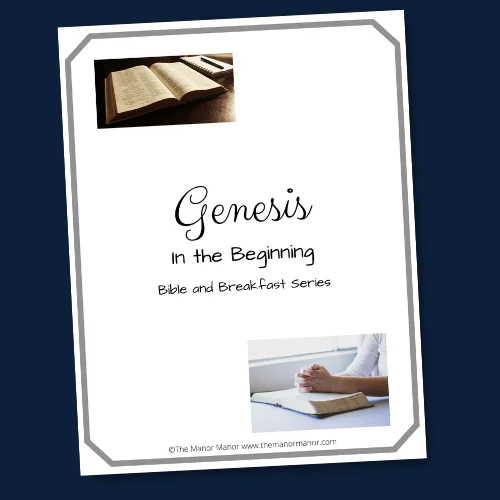 Cover of Genesis Study Question Guide