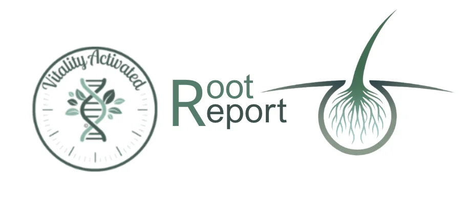 root report logo