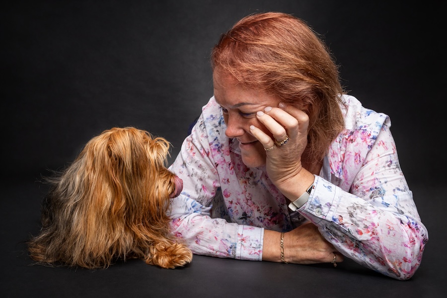 lady & yorkie