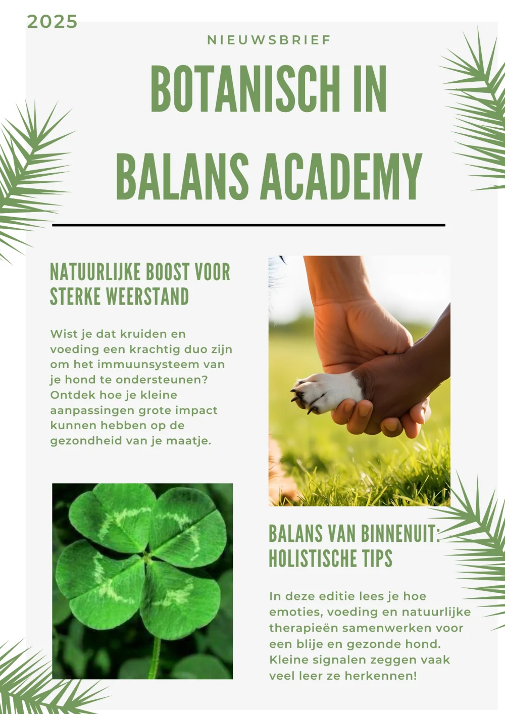 Botanisch in Balans Nieuwsbrief