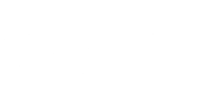 LisaVdesigns logo in white
