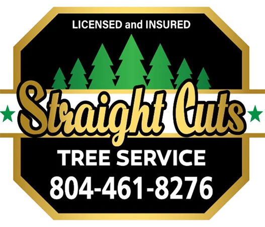 https://straightcutstreeservice.com/land-clearing-2/