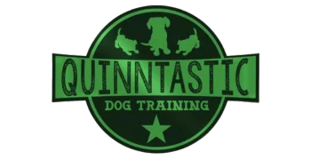 Quinntastic Dog Training Evaluation
