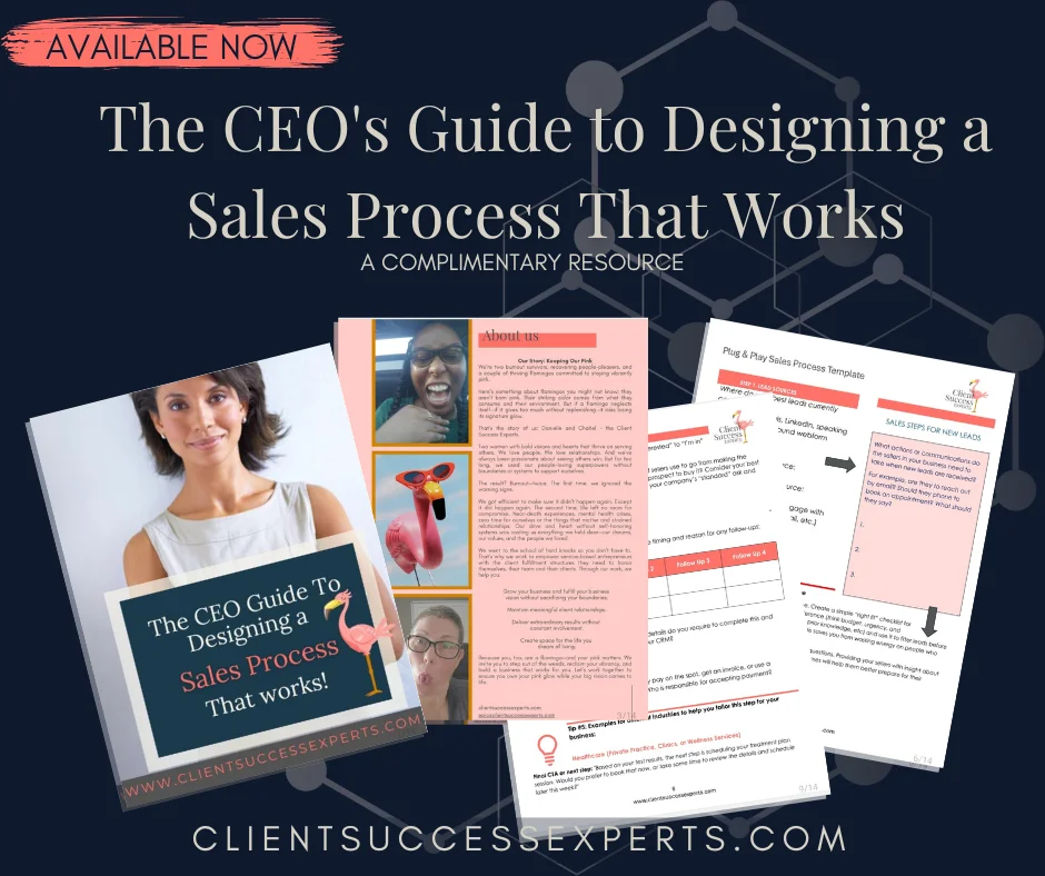 pages from the CEOs Guide to Designing a Sales Process that Works!