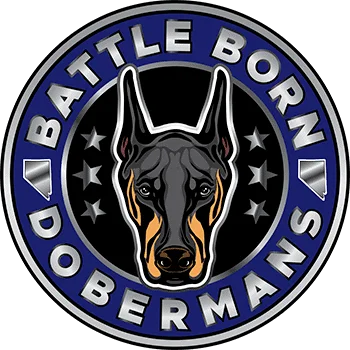 Battle Born Dobermans
