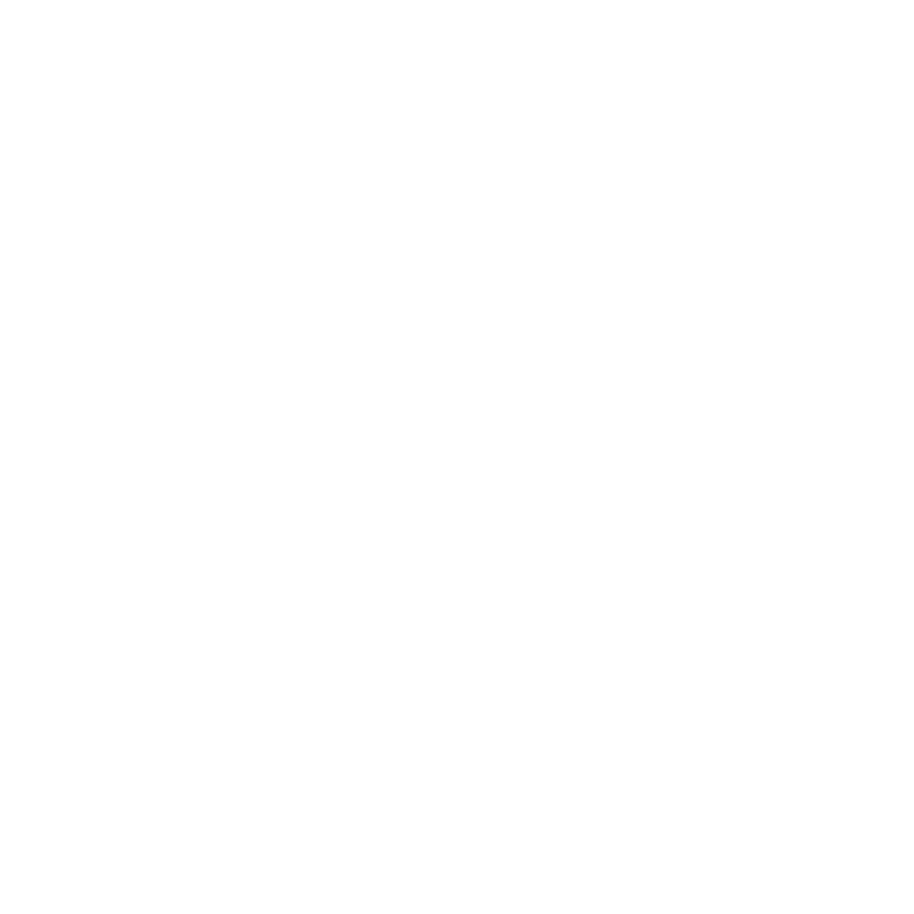 Bobbi Kerik Logo