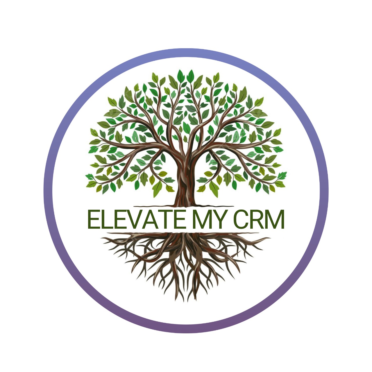 Elevate My CRM