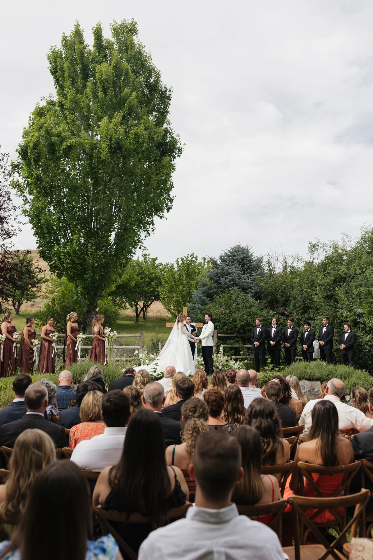 Outdoor wedding ceremony beneath tall trees at Stone Crossing