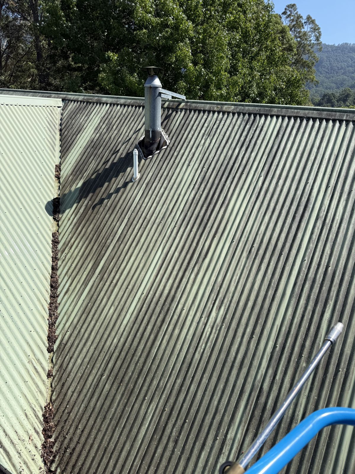 Professional roof cleaning showing dramatic before and after transformation on roof tiles in Wollongong NSW by ClearView Exterior Services