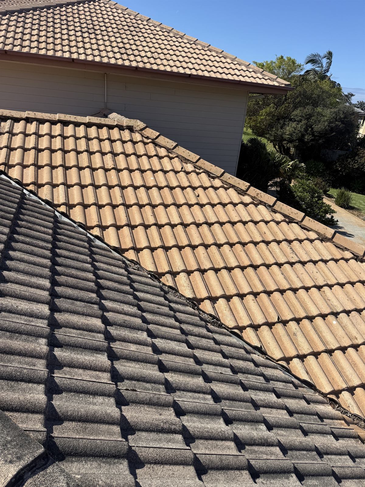 Roof tiles after professional cleaning, showing a cleaner result