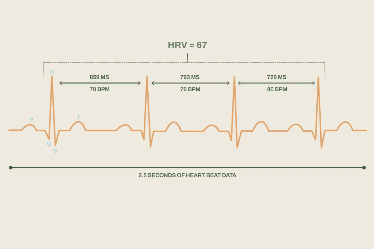 An HRV reading shown in the changing space between heartbeats