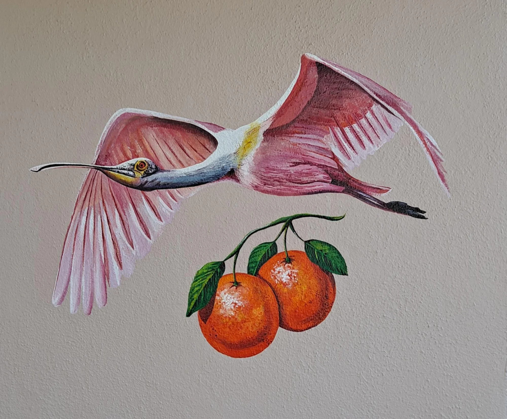 Fine art roseate spoonbill and citrus painted onto textured plaster